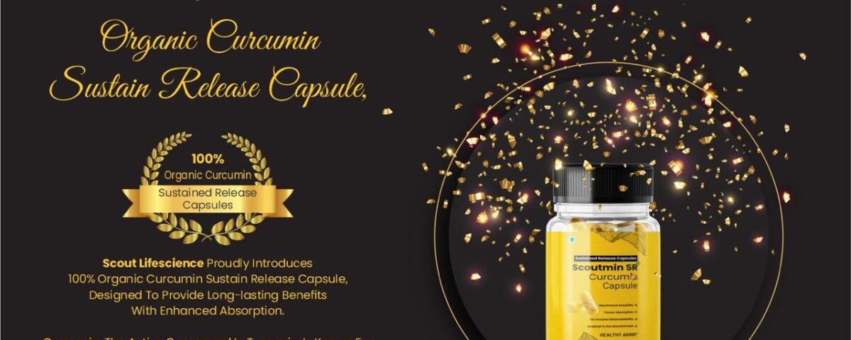 The Natural Way to Support Digestion: Curcumin Extract Sustained Release Capsules (P_03)