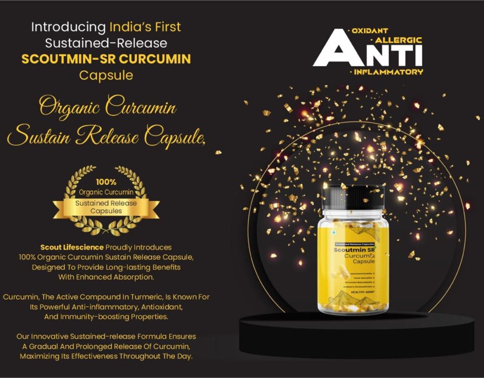 The Natural Way to Support Digestion: Curcumin Extract Sustained Release Capsules (P_03)