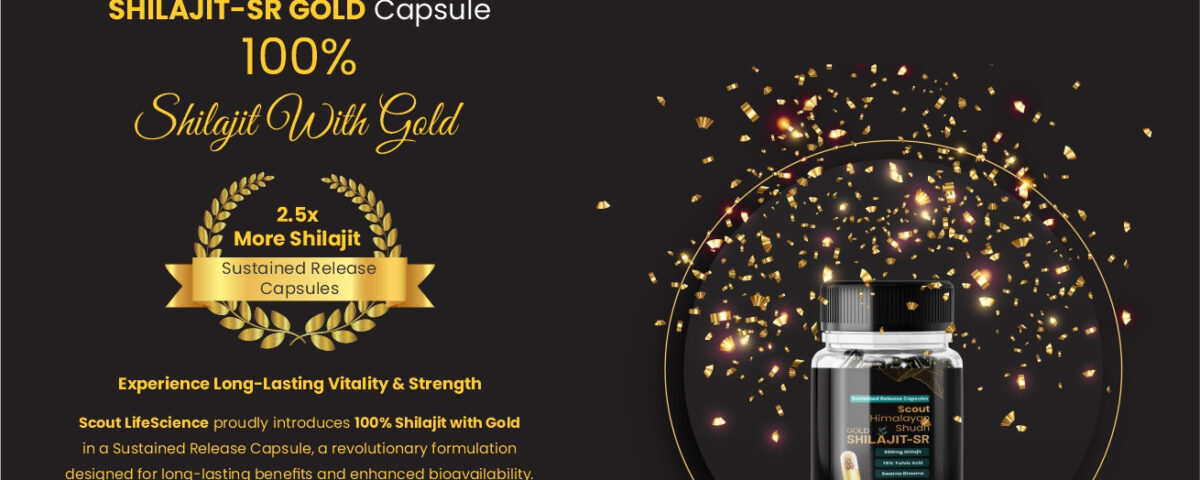 best shilajit capsules
