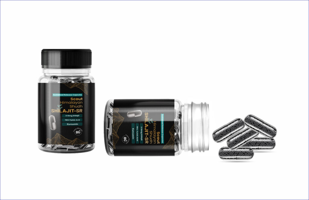 best shilajit capsules